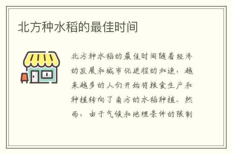 北方种水稻的最佳时间(北方种水稻的最佳时间是几月份)